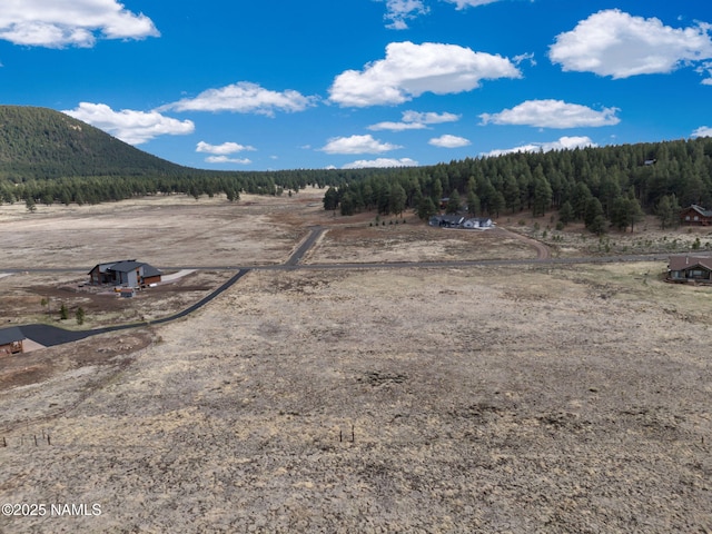 9228 W Hashknife Trl, Flagstaff, AZ 86001 - photo 14