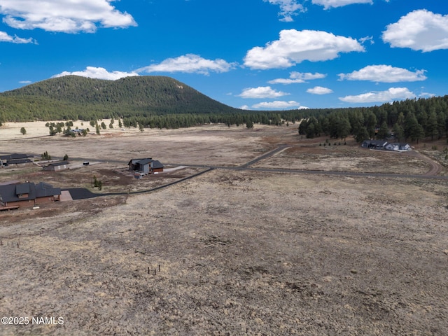 9228 W Hashknife Trl, Flagstaff, AZ 86001 - photo 25