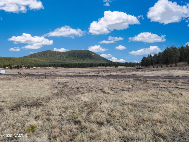 9228 W Hashknife Trl, Flagstaff, AZ 86001 - photo 4
