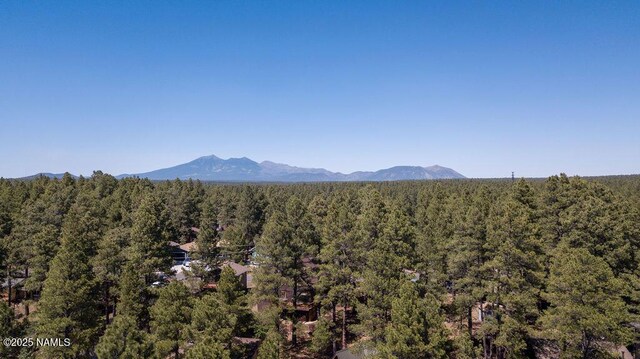 2792 Kona Trl, Flagstaff, AZ 86005 - photo 33