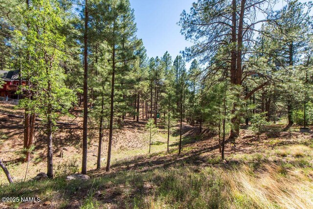 2792 Kona Trl, Flagstaff, AZ 86005 - photo 30