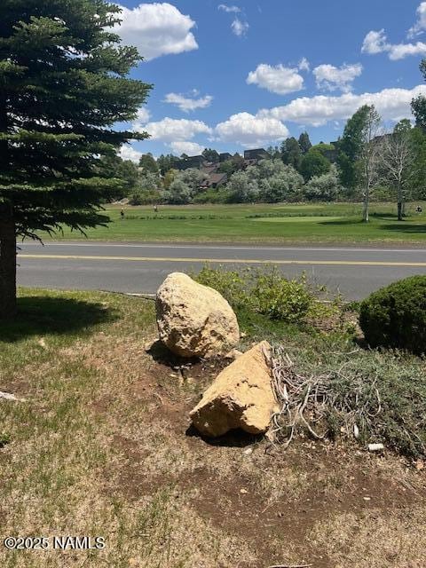 2065 N Country Club Dr, Flagstaff, AZ 86004 - view of asphalt road