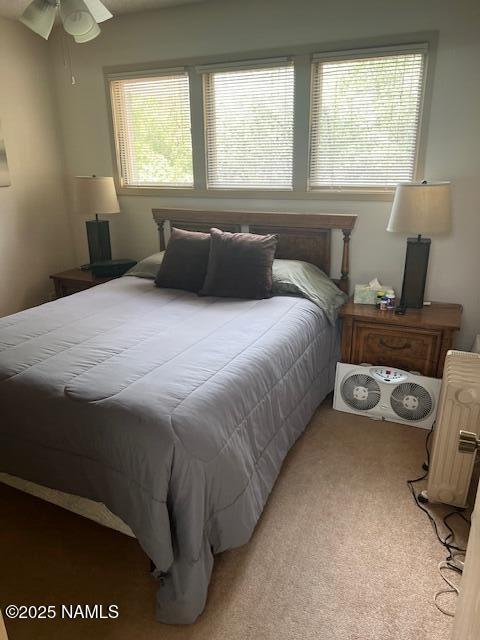 2065 N Country Club Dr, Flagstaff, AZ 86004 - bedroom with multiple windows, carpet floors, and radiator