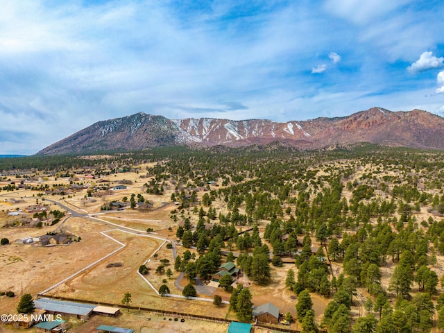 8445 Caballo Way, Flagstaff, AZ 86004 - photo 35