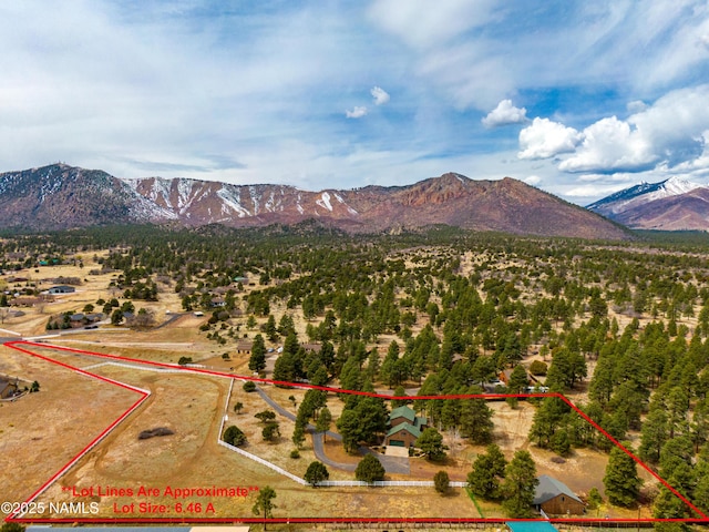 8445 Caballo Way, Flagstaff, AZ 86004 - photo 36