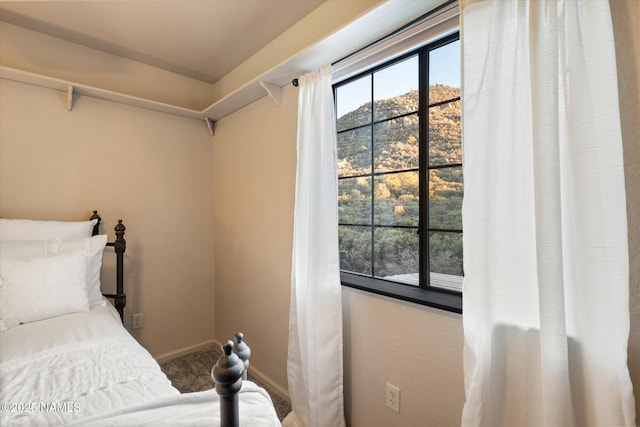 carpeted bedroom with multiple windows