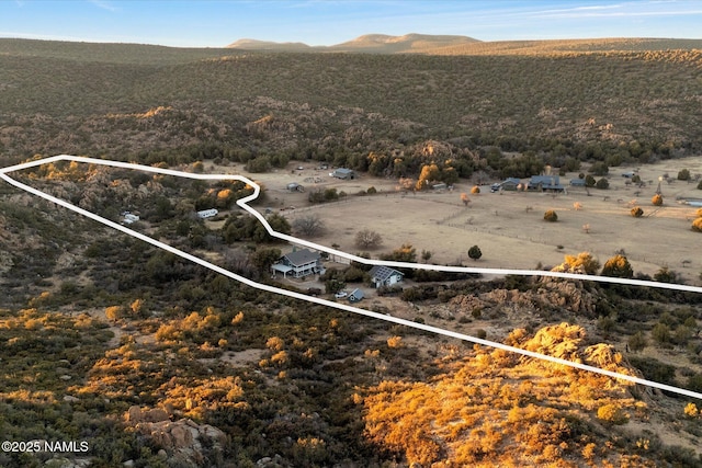 birds eye view of property featuring a mountain view