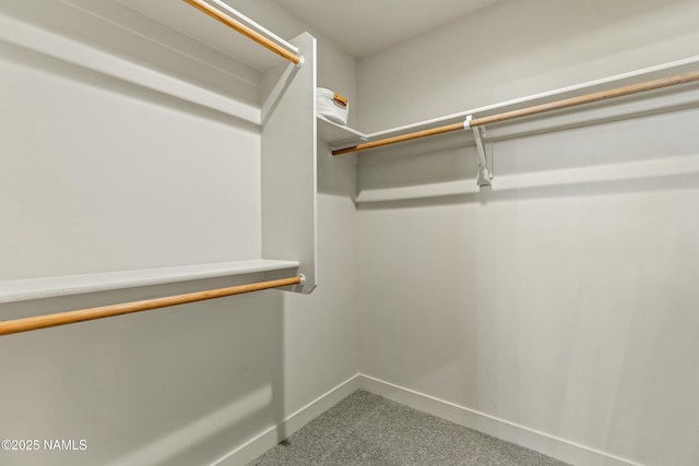 12220 Curtis Ct, Bellemont, AZ 86015 - spacious closet with carpet flooring