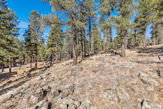 3330 Granite Rdg Lot 4, Flagstaff, AZ 86001 - photo 47