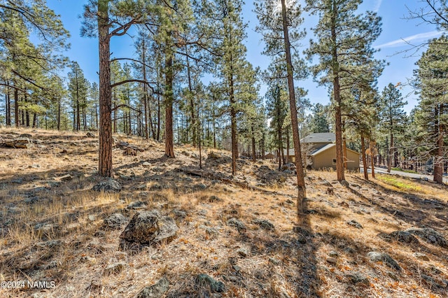 3330 Granite Rdg Lot 4, Flagstaff, AZ 86001 - photo 2