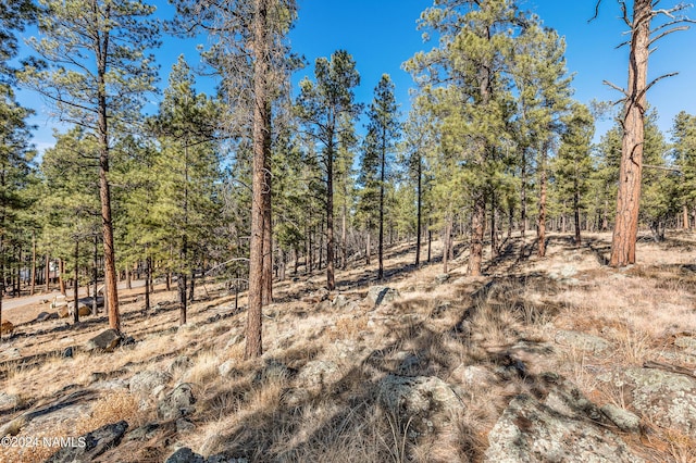 3330 Granite Rdg Lot 4, Flagstaff, AZ 86001 - view of local wilderness