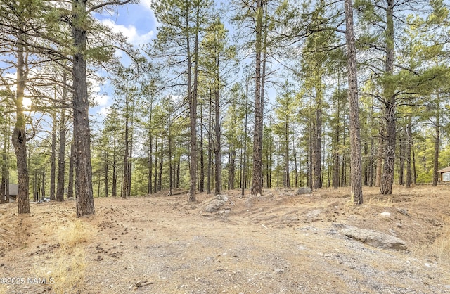 2602 Mesa Trl, Flagstaff, AZ 86005 - photo 9