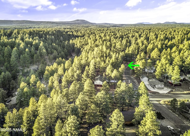 2602 Mesa Trl, Flagstaff, AZ 86005 - photo 7
