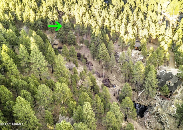 2602 Mesa Trl, Flagstaff, AZ 86005 - photo 11