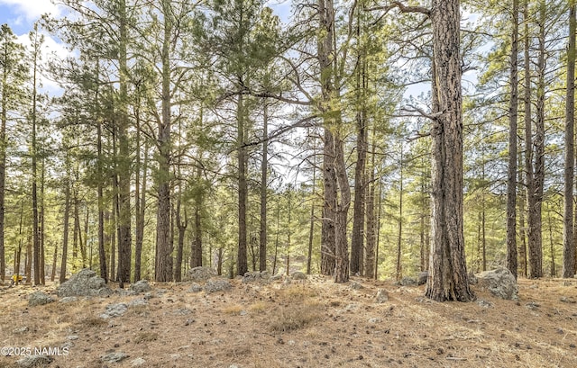2602 Mesa Trl, Flagstaff, AZ 86005 - photo 4