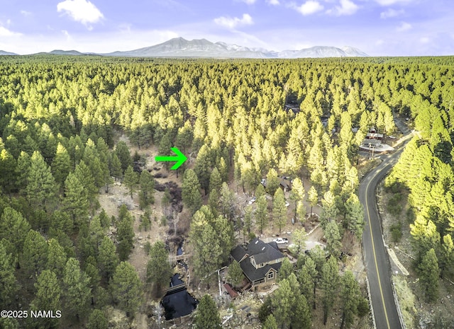 2602 Mesa Trl, Flagstaff, AZ 86005 - photo 15