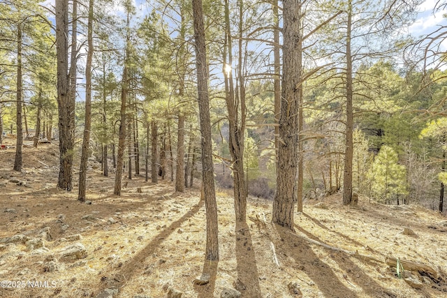 2602 Mesa Trl, Flagstaff, AZ 86005 - photo 1