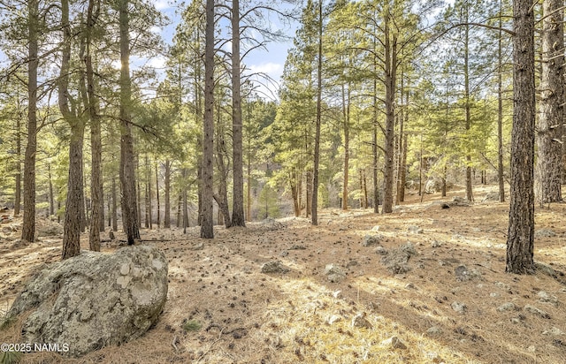 2602 Mesa Trl, Flagstaff, AZ 86005 - photo 5