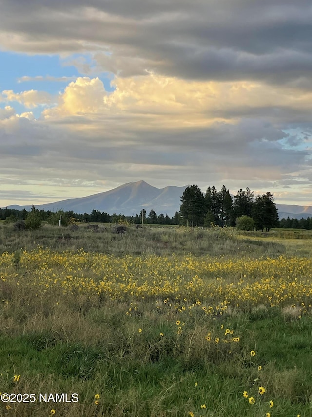 2602 Mesa Trl, Flagstaff, AZ 86005 - photo 20