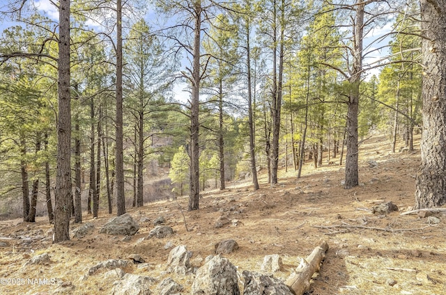 2602 Mesa Trl, Flagstaff, AZ 86005 - photo 8