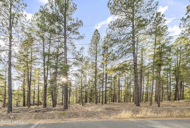 2602 Mesa Trl, Flagstaff, AZ 86005 - photo 3