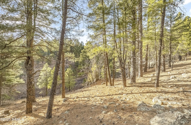 2602 Mesa Trl, Flagstaff, AZ 86005 - photo 6