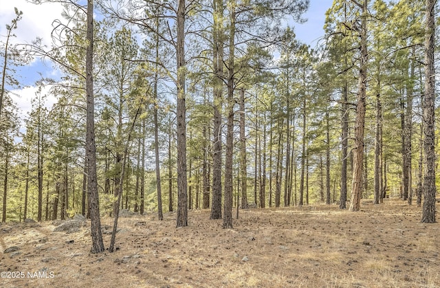 2602 Mesa Trl, Flagstaff, AZ 86005 - photo 13