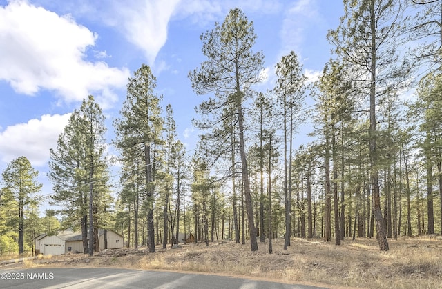 2602 Mesa Trl, Flagstaff, AZ 86005 - photo 14