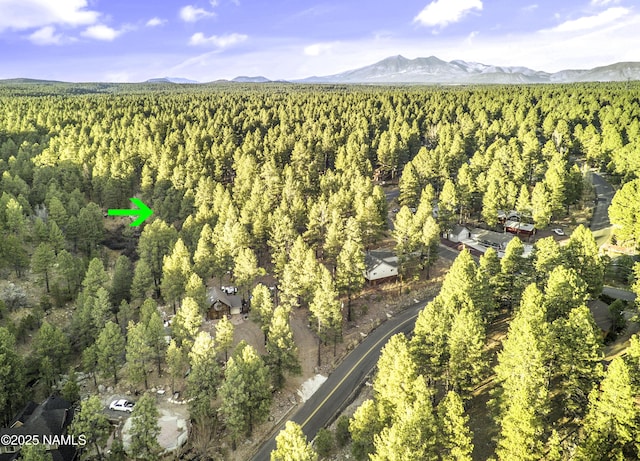 2602 Mesa Trl, Flagstaff, AZ 86005 - photo 2