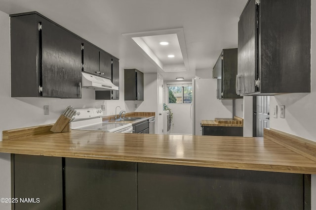 2550 E Cassidy Ln, Flagstaff, AZ 86004 - kitchen with under cabinet range hood, white appliances, a raised ceiling, a peninsula, and a sink