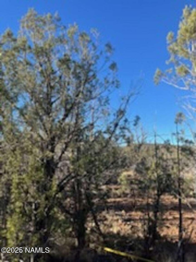 1531 W Cienega Dr, Williams, AZ 86046