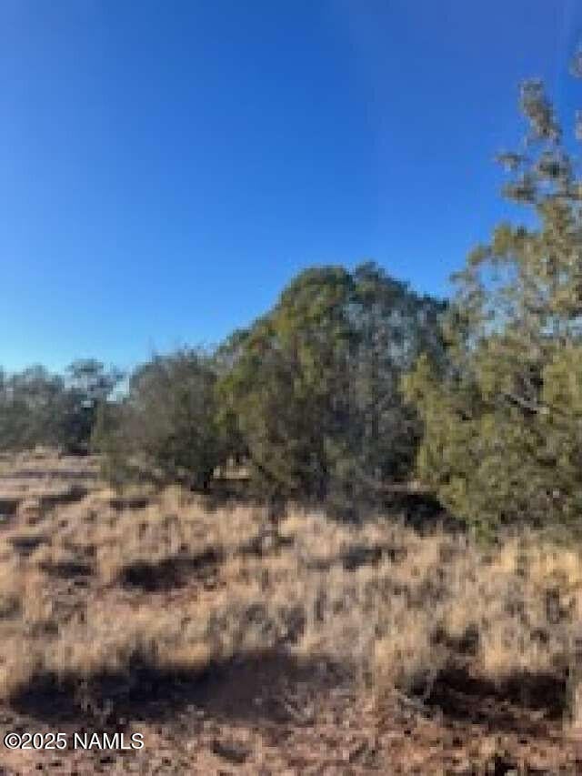 1531 W Cienega Dr, Williams, AZ 86046