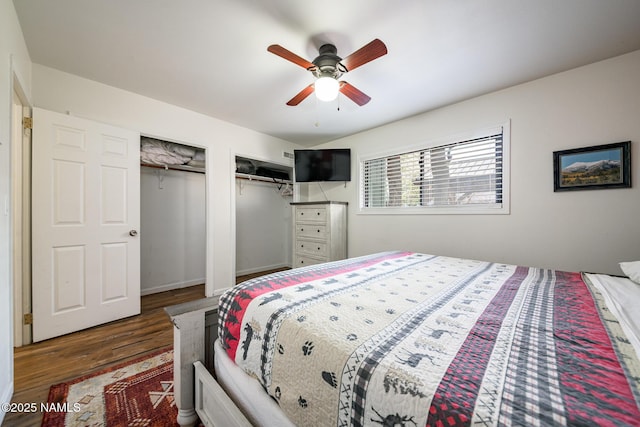 bedroom with wood finished floors, a ceiling fan, and multiple closets