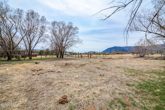 view of yard featuring a mountain view and a rural view
