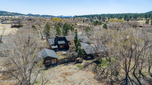 drone / aerial view featuring a mountain view