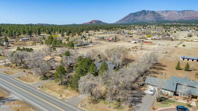 drone / aerial view featuring a mountain view
