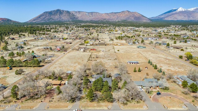 drone / aerial view featuring a mountain view