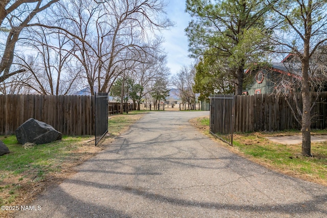 view of street with a gated entry and driveway