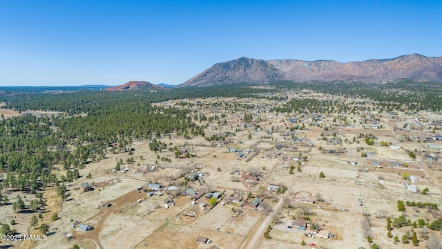 view of mountain feature