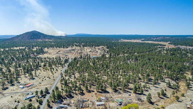 drone / aerial view featuring a forest view and a mountain view