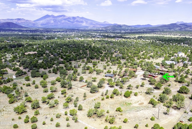 5920 Wildflower Rd, Flagstaff, AZ 86004 - birds eye view of property with a mountain view