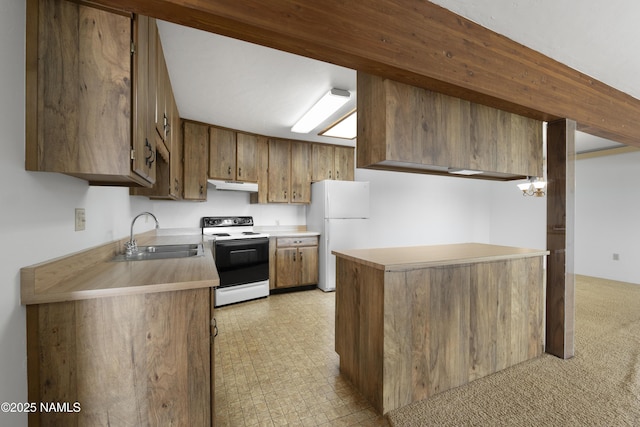 5920 Wildflower Rd, Flagstaff, AZ 86004 - kitchen with light countertops, under cabinet range hood, a sink, electric range oven, and freestanding refrigerator