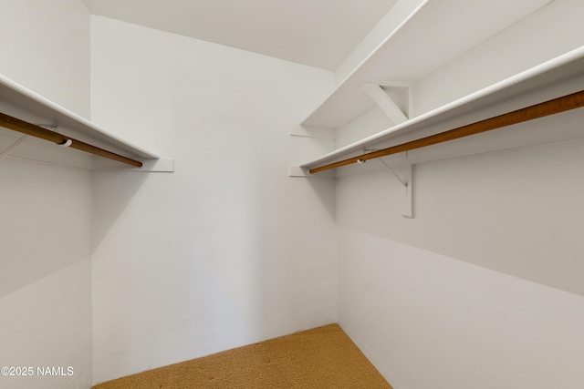 5920 Wildflower Rd, Flagstaff, AZ 86004 - walk in closet featuring light carpet