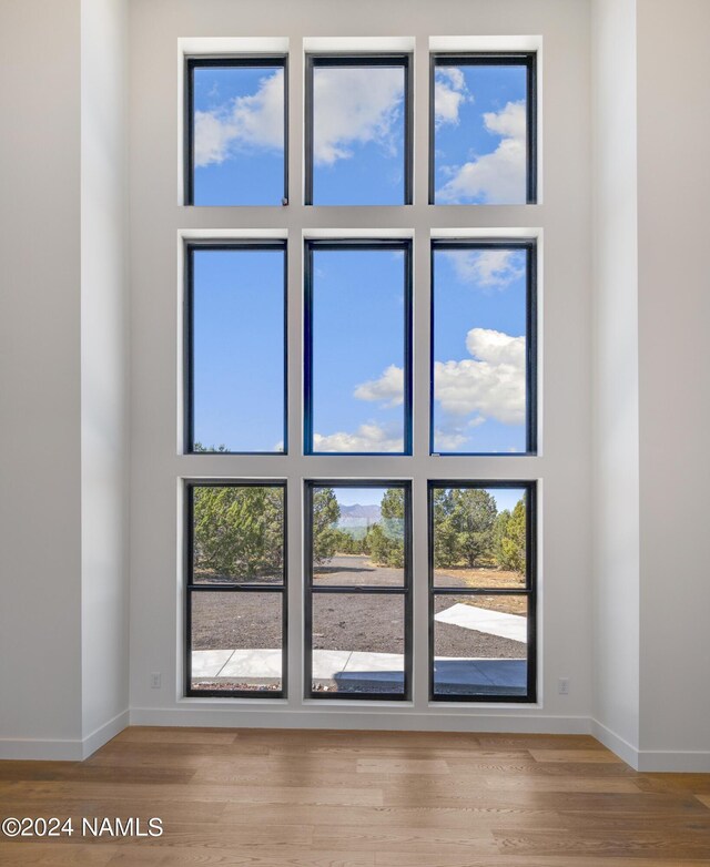 interior space featuring hardwood / wood-style flooring and a high ceiling