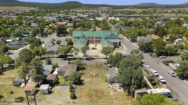215 W Hancock Ave, Williams, AZ 86046