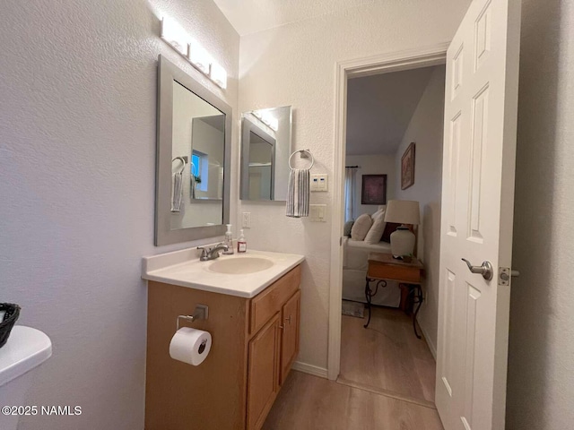 bathroom with wood finished floors and vanity