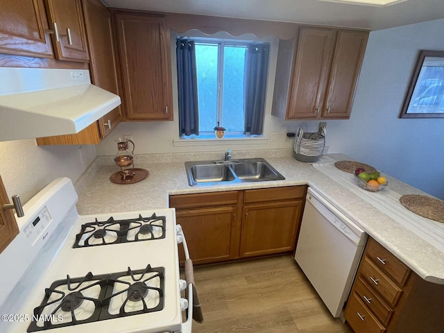 kitchen featuring light countertops, ventilation hood, a sink, and white appliances