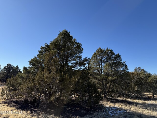 7399 N 8 Mile Blvd, Williams, AZ 86046