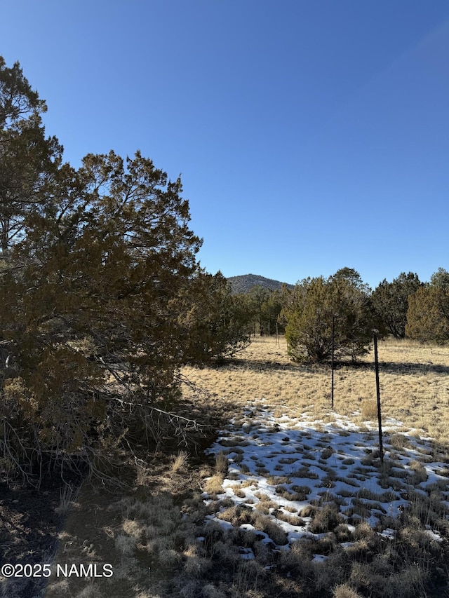 7399 N 8 Mile Blvd, Williams, AZ 86046 - photo 3