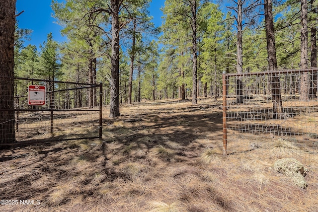 1533 S Minstrel Ln, Williams, AZ 86046 - view of yard featuring a view of trees